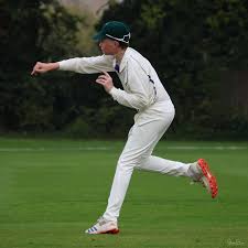 Image result for Saffron Walden Cricket Club
