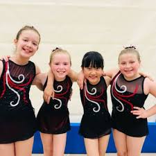 Image result for Croydon Gymnastics For Girls
