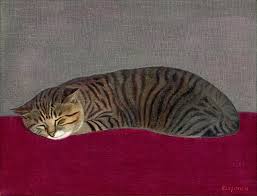 猫次郎에 대한 이미지 검색결과