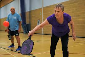 Image result for Windrush Badminton Club