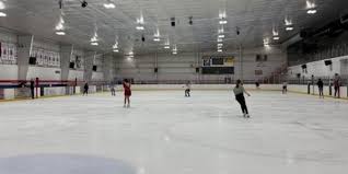 Image result for Mercian Ice Dance Club