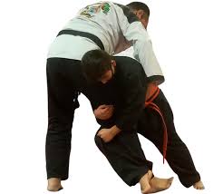 Image result for AKF Martial Arts