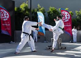 Image result for Imi Jishin Ryou karate do
