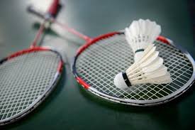 Image result for Norton Canes Badminton Club
