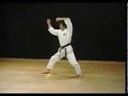 Image result for HEIWA SHOTOKAN KARATE CLUB