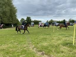 Image result for Taunton Vale Polo Club