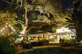 Image result for Enzian