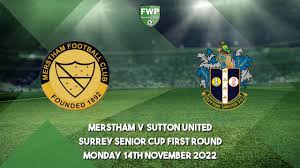 Image result for Merstham Football & Social Club