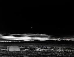 Image result for Ansel Adams Aspens New Mexico