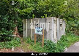 Image result for Basingstoke Bullets