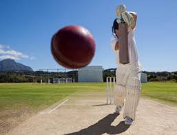 Image result for West Herts Cricket Club