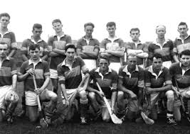 Image result for University Of Limerick Gaa Hurling Club