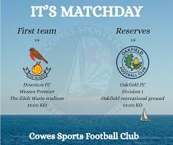 Image result for Cowes Sports Football Club