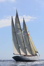 Image result for Xarifa