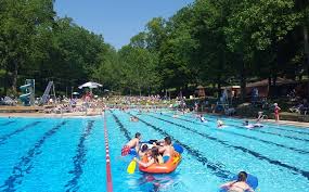 Image result for Chadderton Amateur Swimming Club