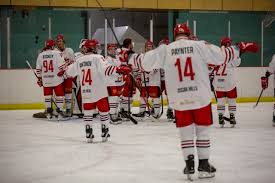 Image result for Streatham Night Wolves Ice Hockey Team