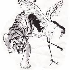 Image result for Chat Ying Kuen Kung Fu Club