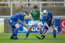 Image result for World of Shinty
