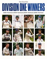 Image result for Halstead Colts Cricket Club