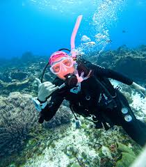 Image result for Scuba Fun
