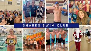 Image result for South Axholme Sharks Asc