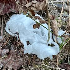 Attēlu rezultāti vaicājumam “Frost Flowers”