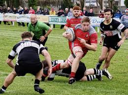 Image result for Pembroke Dock Harlequins RFC
