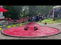 Image result for World Minigolf Sport Federation