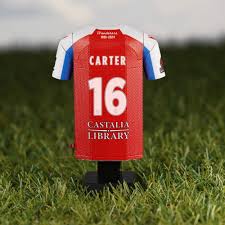 Image result for Dorking Football Club Limited