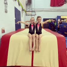 Image result for Wiltshire School Of Gym