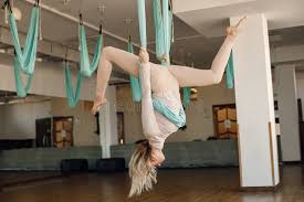 Image result for Aero Gymnastics Club