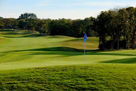 Image result for Wolds Gc
