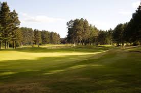 Image result for Forfar Golf Club