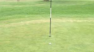 Image result for Tadmarton Heath Golf Club