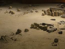 Image result for 土井ヶ浜遺跡　視線　故郷