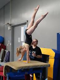 Image result for Tessaro Gymnastics Club