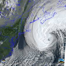 Image result for Halstead Cyclones