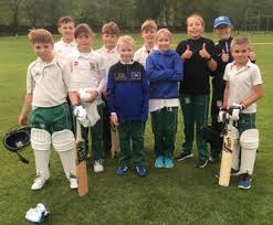 Image result for Thurstonland Cricket Club