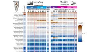 Attēlu rezultāti vaicājumam “Colostygia pectinataria male”