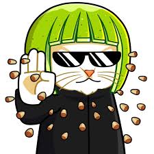 Image result for limecat