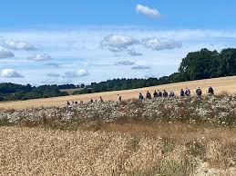 Image result for Ramblers Association - Mole Valley Group