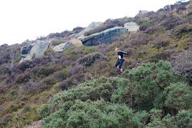 Image result for North Leeds Fell Runners