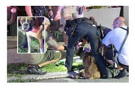 Image result for Ingarfield Condor Team