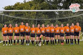 Image result for Haslemere Town Youth Football Club