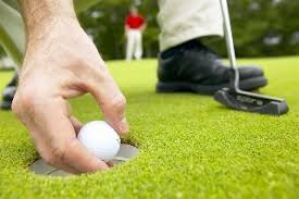 Image result for Hook Sports Association