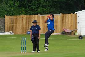 Image result for Clwb Criced A Bowlio Bethesda