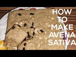 Attēlu rezultāti vaicājumam “Avena sativa fruit”