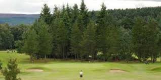 Image result for Elgin Scrabble Club