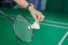 Image result for Bushey Barons Badminton Club