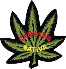 Attēlu rezultāti vaicājumam “Cannabis sativa leaf”